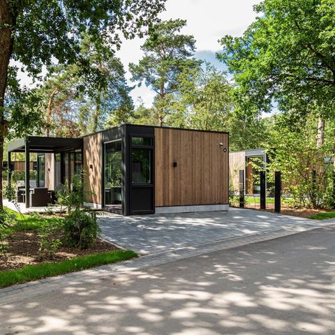 HOUSE 5 people - Veluwe farmstead