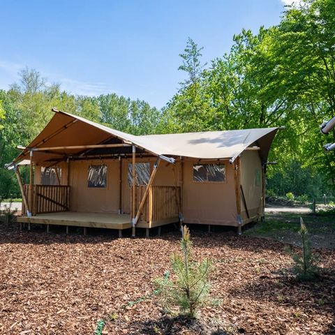 CANVAS AND WOOD TENT 6 people - Glamping tent 6