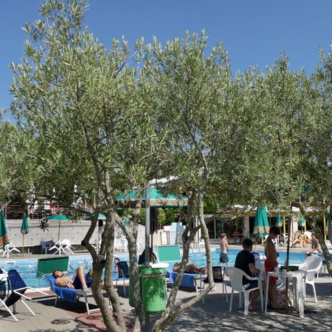 Camping Le Soline - Camping Siena - Afbeelding N°2