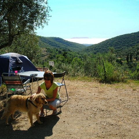 PIAZZOLA - Piazzola media: auto o moto + tenda/roulotte o camper + elettricità