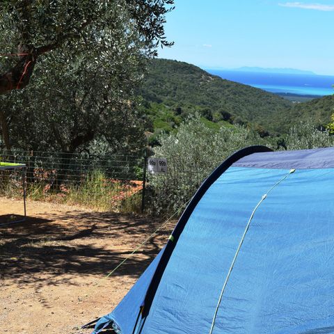 PIAZZOLA - Piazzola media: auto o moto + tenda/roulotte o camper + elettricità