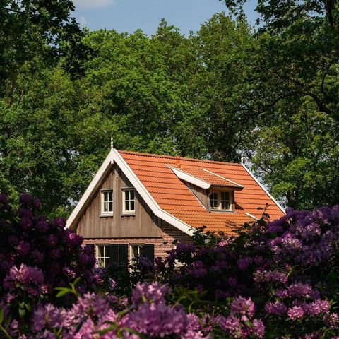 MAISON 6 personnes - La chouette hulotte