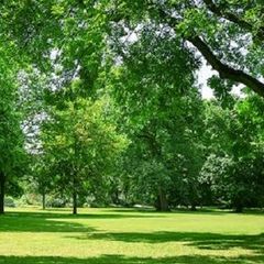 Village de Gites Le Bretou - Camping Dordogne