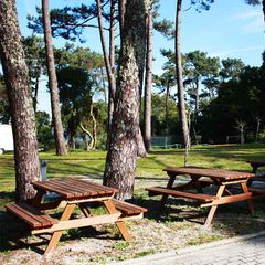 Camping Caminha - Camping Nord du Portugal