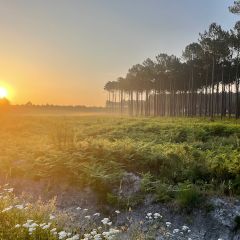 Camping Ushuaïa Villages La Maïade - Camping Landes