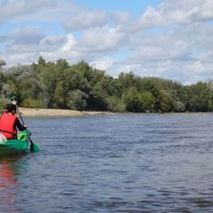 Camping de L'Ile  - Camping Cher