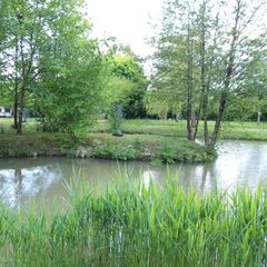 Camping Les Naïades - Camping Ardennen