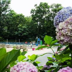 Camping Bela Basque - Camping Pyrénées-Atlantiques