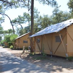 Camping Les Pins d'Oléron  - Camping Charente-Maritime