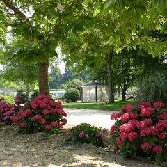 Camping De Courte Vallée - Camping Deux-Sèvres