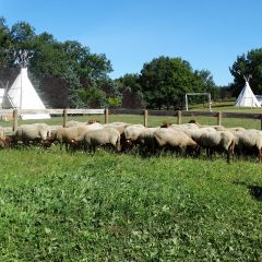 Camping Roussel - Camping Tarn-et-Garonne