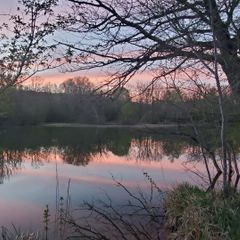 Camping Chez Jo et Mel - Camping Seine-et-Marne