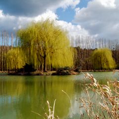 Camping La Rivière Dorée - Camping Seine-et-Marne