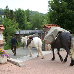 Camping Il Melo - Camping Cuneo