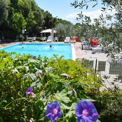 Villaggio Blucamp - Camping Livorno