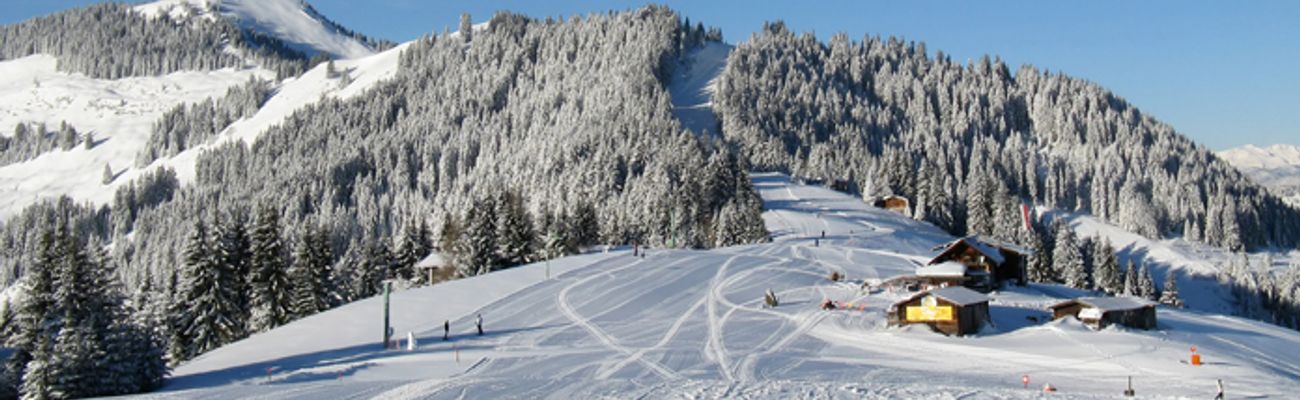 Alle Oostenrijkse parken in wintersportgebied