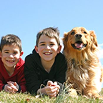 Dog friendly holiday parks