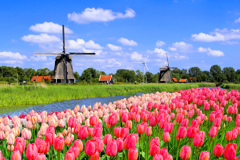 Windmolen-Nederland