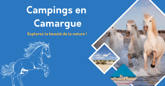 Campings en Camargue